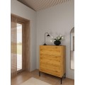 Komoda Palmdale 80 cm dub divoký/černý