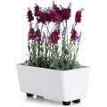 Truhlík s nožičkami Salvia 28,5x17 cm bílý