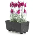 Truhlík s nožičkami Salvia 28,5x17 cm černý beton