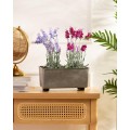 Truhlík s nožičkami Salvia 28,5x17 cm šedý beton