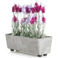 Truhlík s nožičkami Salvia 37,5x17 cm šedý beton