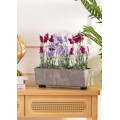 Truhlík s nožičkami Salvia 37,5x17 cm šedý beton