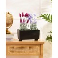 Truhlík s nožičkami Salvia 28,5x17 cm antracit