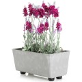 Truhlík s nožičkami Salvia 28,5x17 cm šedý beton