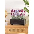 Truhlík s nožičkami Salvia 37,5x17 cm černý beton
