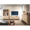 TV stolek Bari 168 cm dub Vicenza
