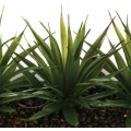 Umělá Aloe Vera v květináči Grassy
