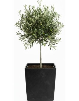 Květináč FLORE Beton 41x39,5x39,5 cm černý