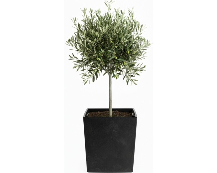 Květináč FLORE Beton 41x39,5x39,5 cm černý