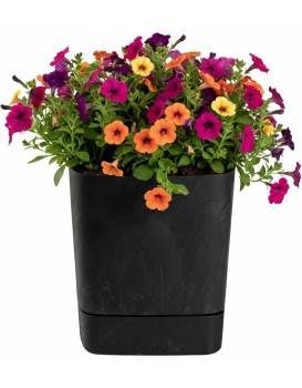 Plastový květináč s podmiskou Cubi 30x30 cm černý beton