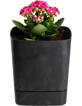 Plastový květináč s podmiskou Cubi 16x16 cm černý beton
