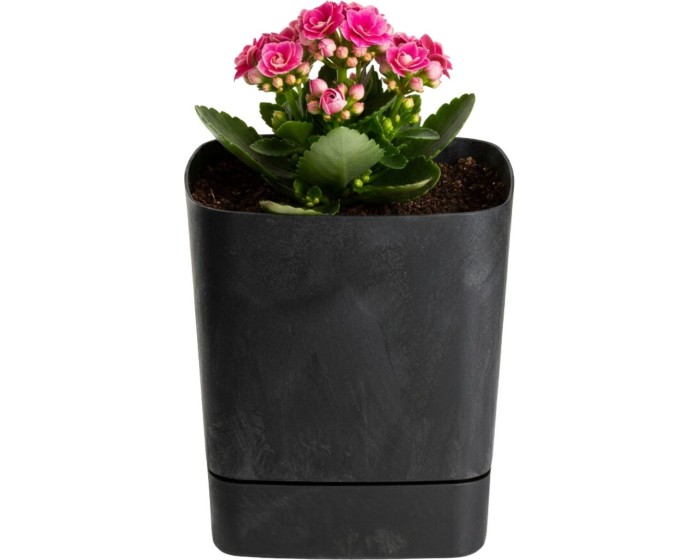 Plastový květináč s podmiskou Cubi 16x16 cm černý beton