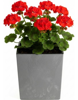 Květináč FLORE Beton 30,5x29,5x29,5 cm šedý