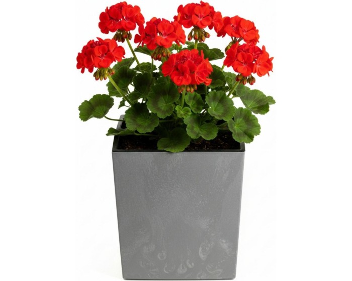 Květináč FLORE Beton 30,5x29,5x29,5 cm šedý
