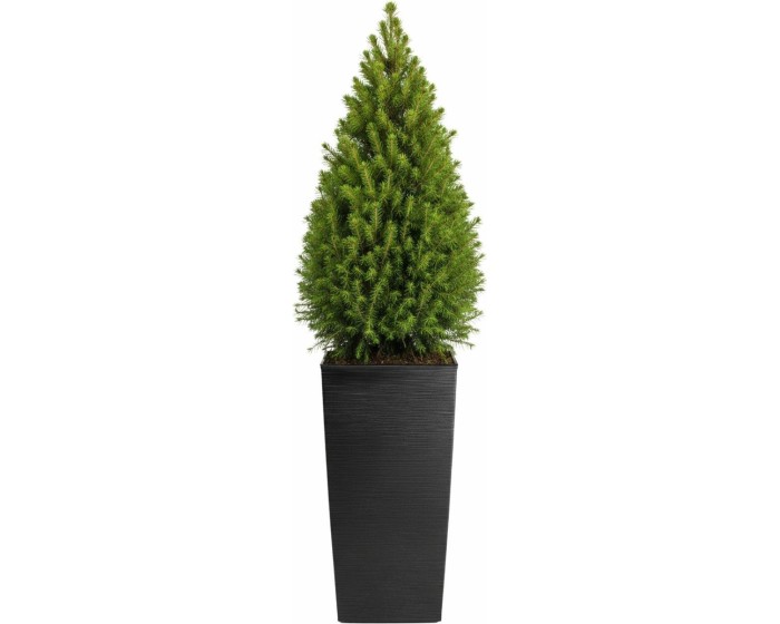 Plastový květináč Porto Riflo 75x39,6x39,6 cm černý