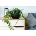 Květináč STRIPPED ECO 30 cm černý