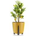 Květináč MOSS ECO II 30 cm hořčicově žlutý