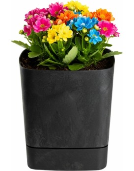 Plastový květináč s podmiskou Cubi 19x19 cm černý beton