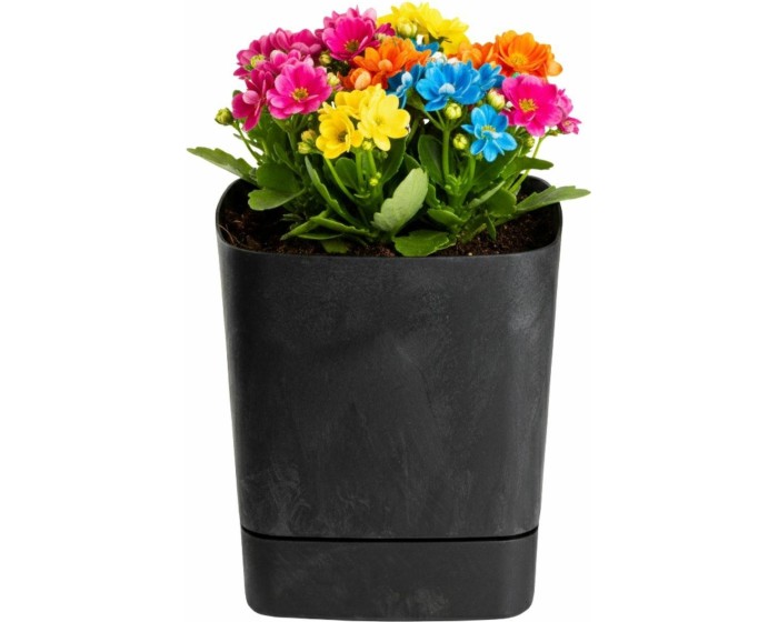 Plastový květináč s podmiskou Cubi 19x19 cm černý beton