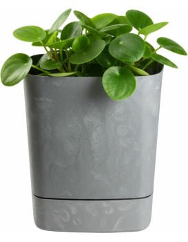 Plastový květináč s podmiskou Cubi 16x16 cm šedý beton