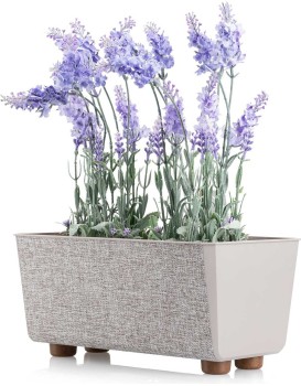 Truhlík s nožičkami Salvia 28,5x17 cm taupe hnědý