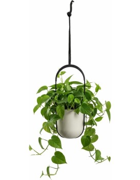 Závěsný květináč AERA HANG 17,9 cm béžový