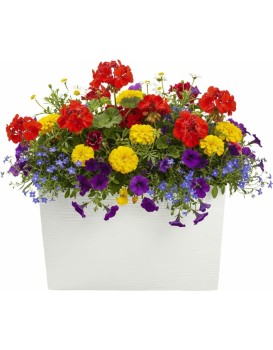 Plastový květináč Bloom Riflo 36,2x56,1 cm krémový