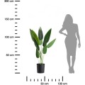 Květináč s podmiskou AZALEA 22,5 cm černý beton