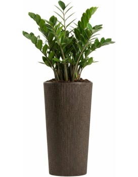 Květináč URBANIKA Coffee 36,4x19,6 cm hnědý 