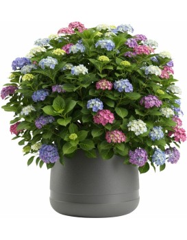 Květináč LUNA Vase 42 cm antracitový 
