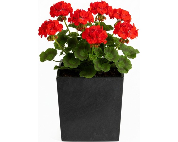 Květináč FLORE Beton 30,5x29,5x29,5 cm černý