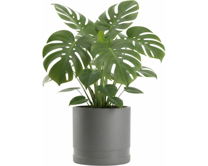 Květináč LUNA Cylinder 30,8 cm antracitový 