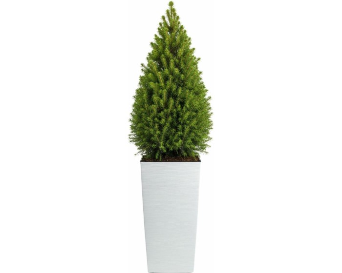 Plastový květináč Porto Riflo 75x39,6x39,6 cm bílý