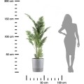 Květináč s podmiskou AZALEA 35 cm šedý beton 