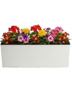 Plastový květináč Bouquet Riflo 56x19 cm krémový