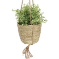 Závěsný květináč BOHO 15 cm béžový 