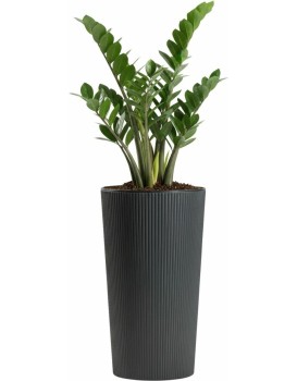 Plastový květináč URBANIKA ECO 46,6x25,5 cm antracitový 