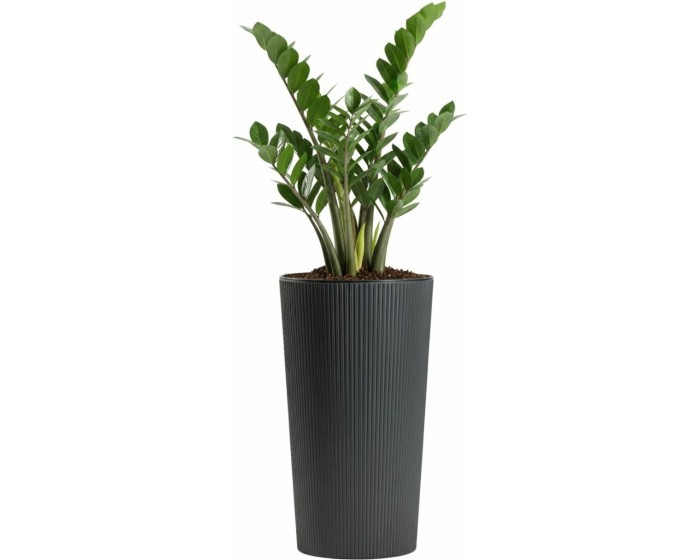 Plastový květináč URBANIKA ECO 46,6x25,5 cm antracitový 