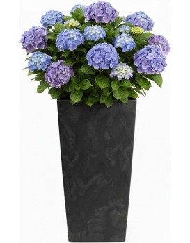Květináč Porto 75x39,6 cm černý beton