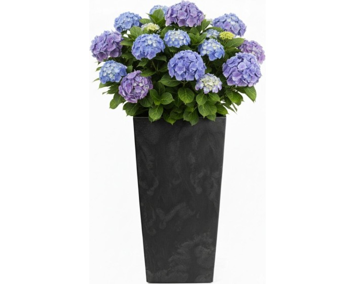 Květináč Porto 75x39,6 cm černý beton