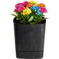 Sada 3 ks květináčů Cubi 16x16/19x19/25x25 cm černý beton