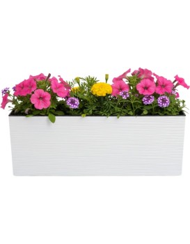 Plastový květináč Bouquet Riflo 56x19 cm bílý
