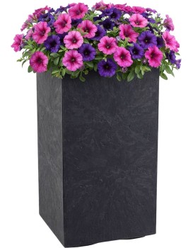 Květináč na kolečkách BETONIQUE 30x60 cm černý beton
