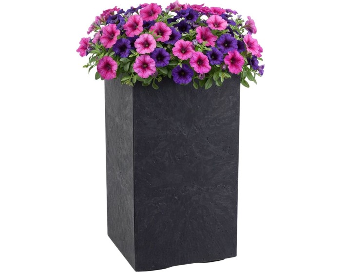 Květináč na kolečkách BETONIQUE 30x60 cm černý beton