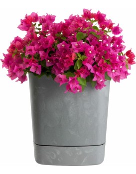 Plastový květináč s podmiskou Cubi 25x25 cm šedý beton