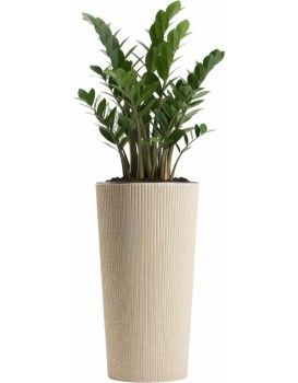 Květináč URBANIKA Coffee 36,4x19,6 cm béžový