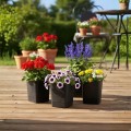 Plastový květináč s podmiskou Cubi 16x16 cm černý beton