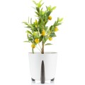 Květináč MOSS ECO III 34 cm bílý
