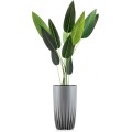 Květináč STRIPPED ECO II 30 cm šedý