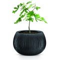 Obal na květináč s vkladem Bowl šedý